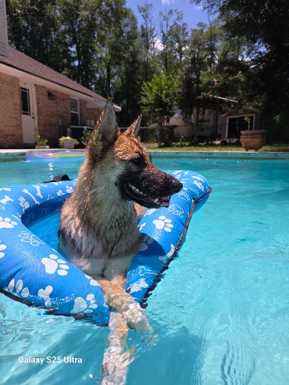 Chief Relaxation Officer